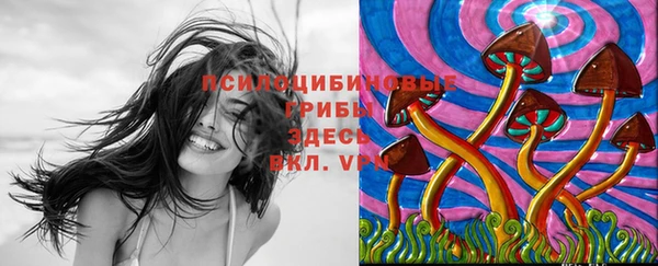 apvp Козловка