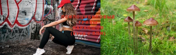 сатива Красавино