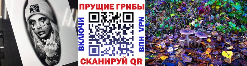 Купить закладки  Данилов  Псилоцибиновые грибы мухоморы 